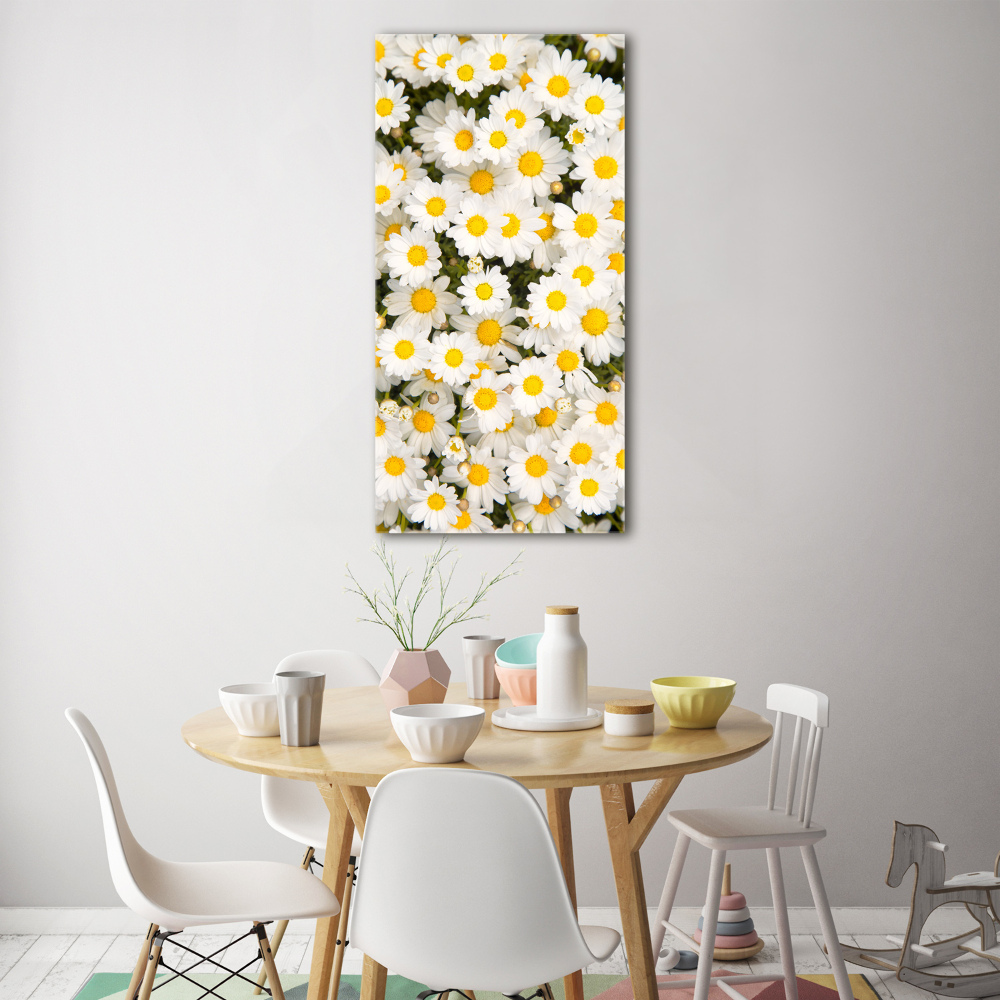 Tableau en acrylique Fleurs de marguerite