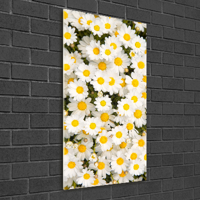 Tableau en acrylique Fleurs de marguerite