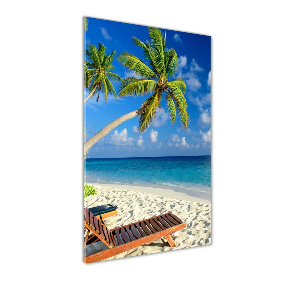 Tableau acrylique Plage tropicale