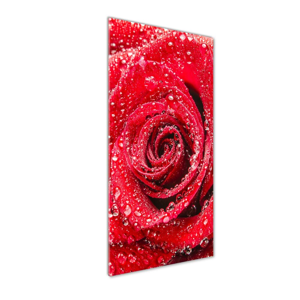 Tableau acrylique Rose rouge