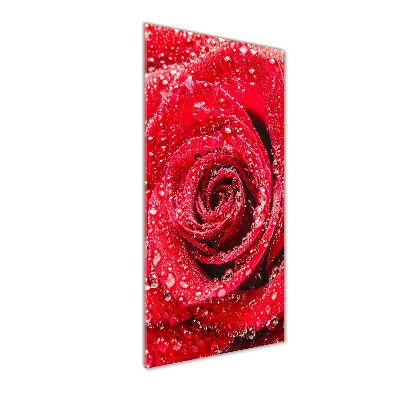 Tableau acrylique Rose rouge