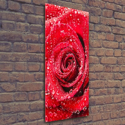 Tableau acrylique Rose rouge