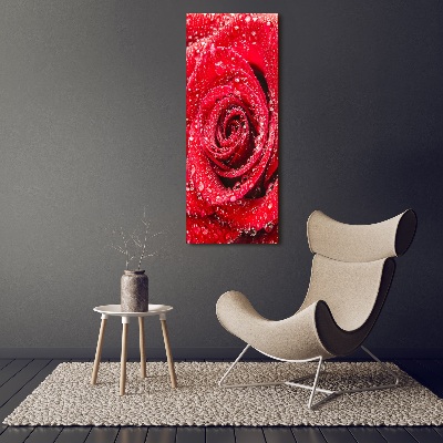 Tableau acrylique Rose rouge