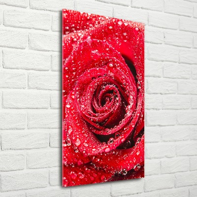 Tableau acrylique Rose rouge