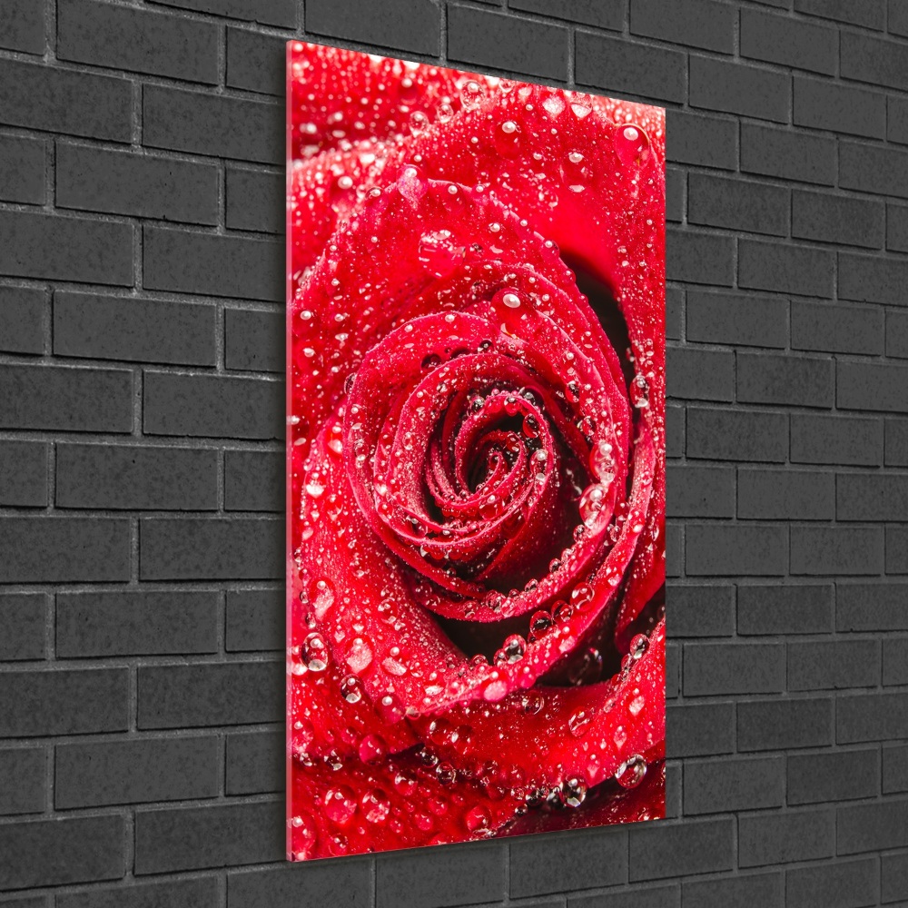 Tableau acrylique Rose rouge