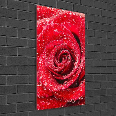 Tableau acrylique Rose rouge