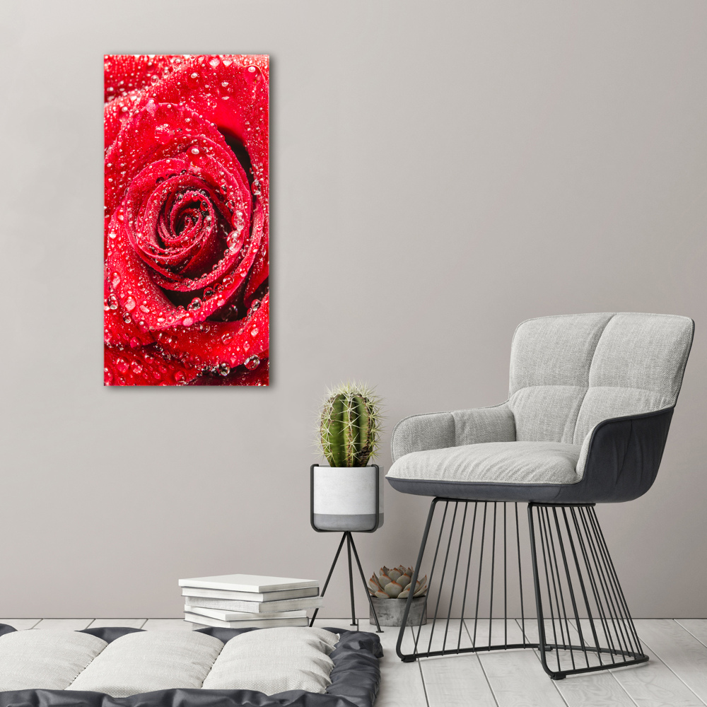 Tableau acrylique Rose rouge