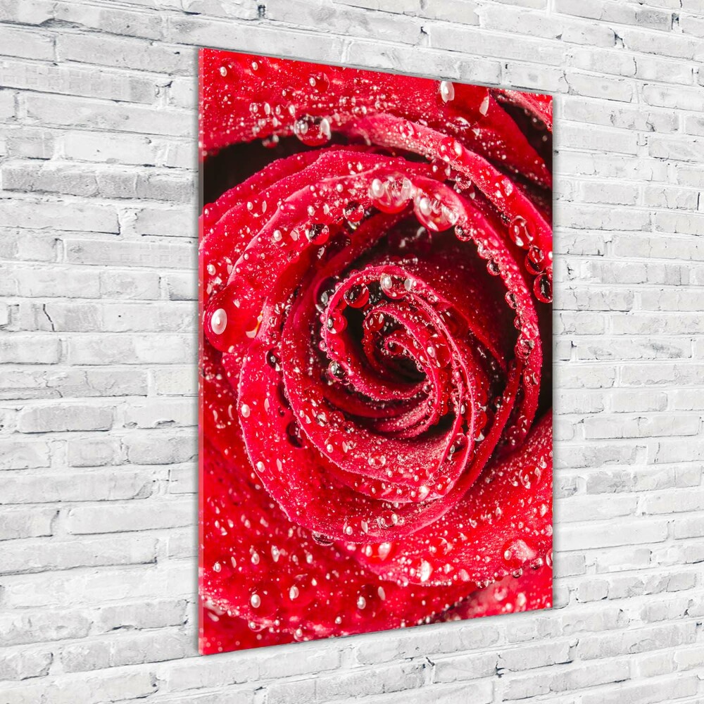 Tableau acrylique Rose rouge