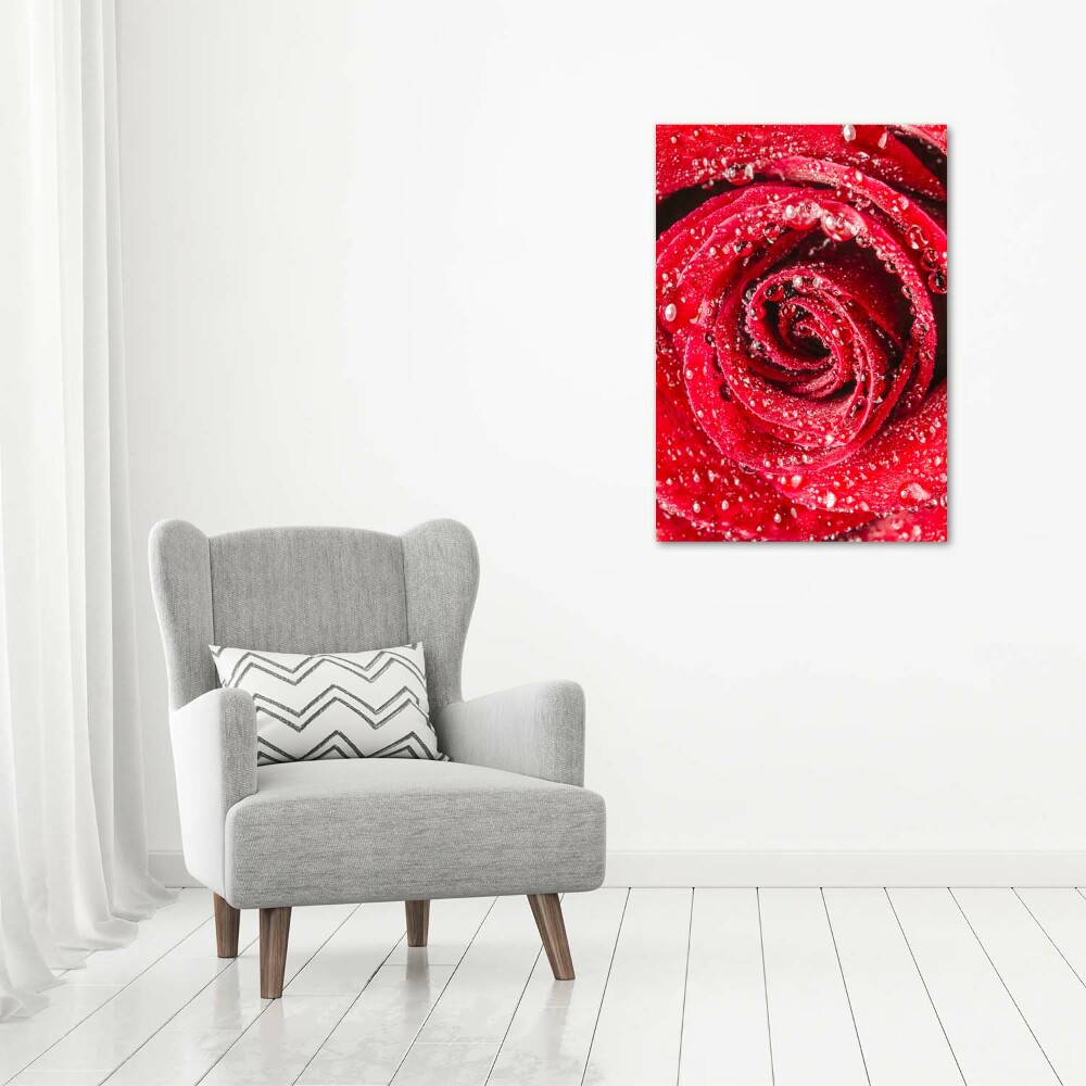 Tableau acrylique Rose rouge