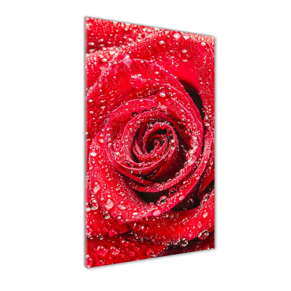 Tableau acrylique Rose rouge