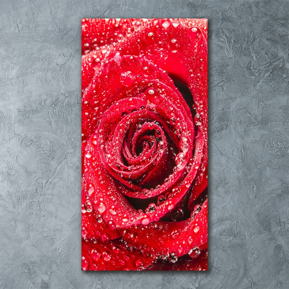 Tableau acrylique Rose rouge