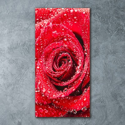 Tableau acrylique Rose rouge