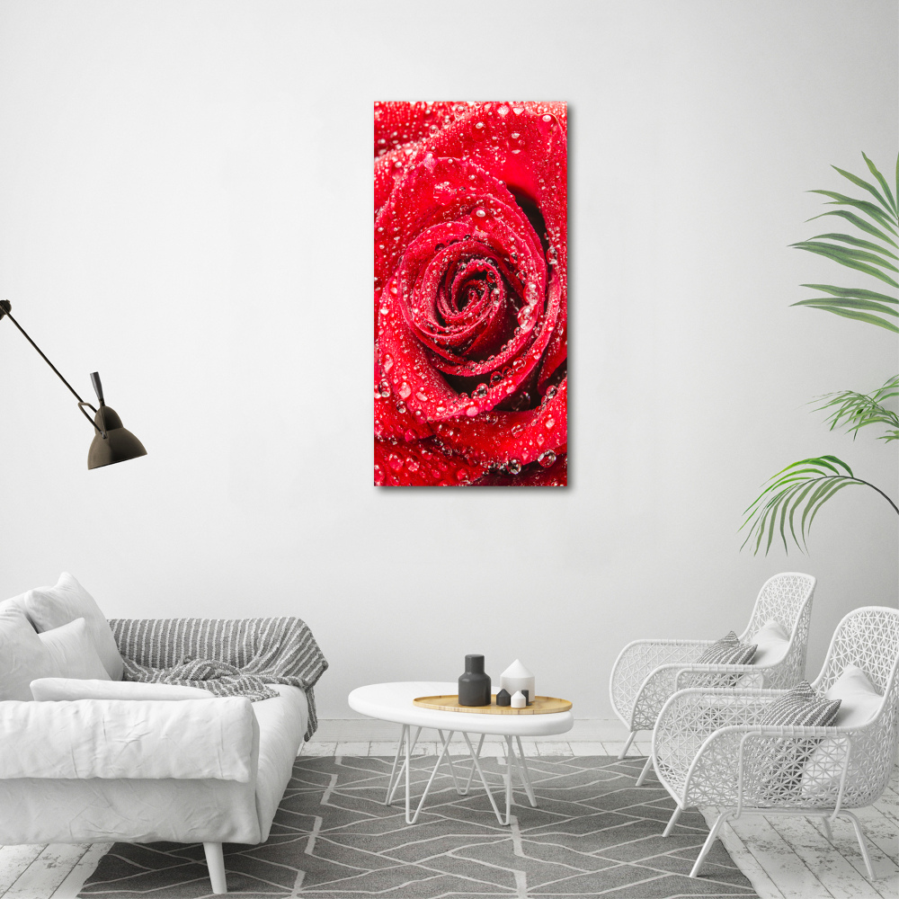 Tableau acrylique Rose rouge