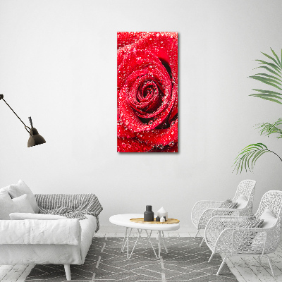 Tableau acrylique Rose rouge