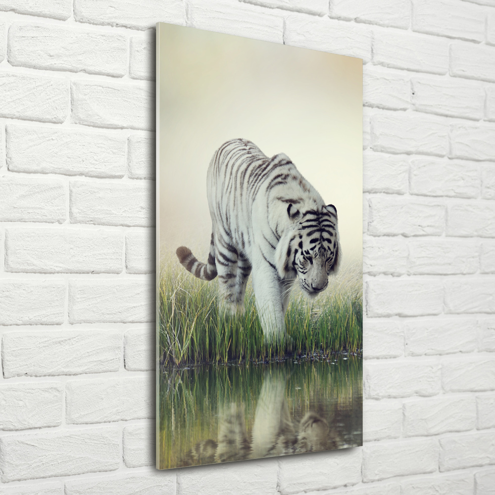 Tableau en acrylique Tigre blanc