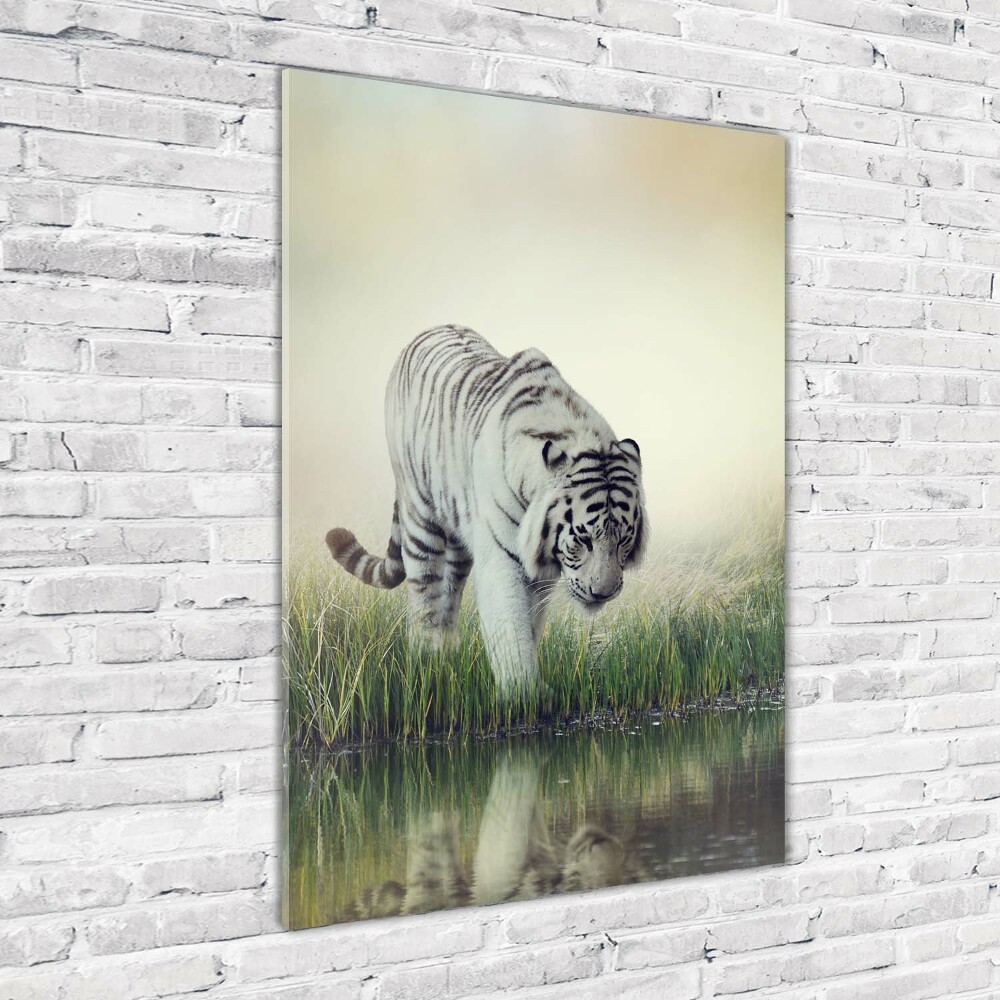 Tableau en acrylique Tigre blanc