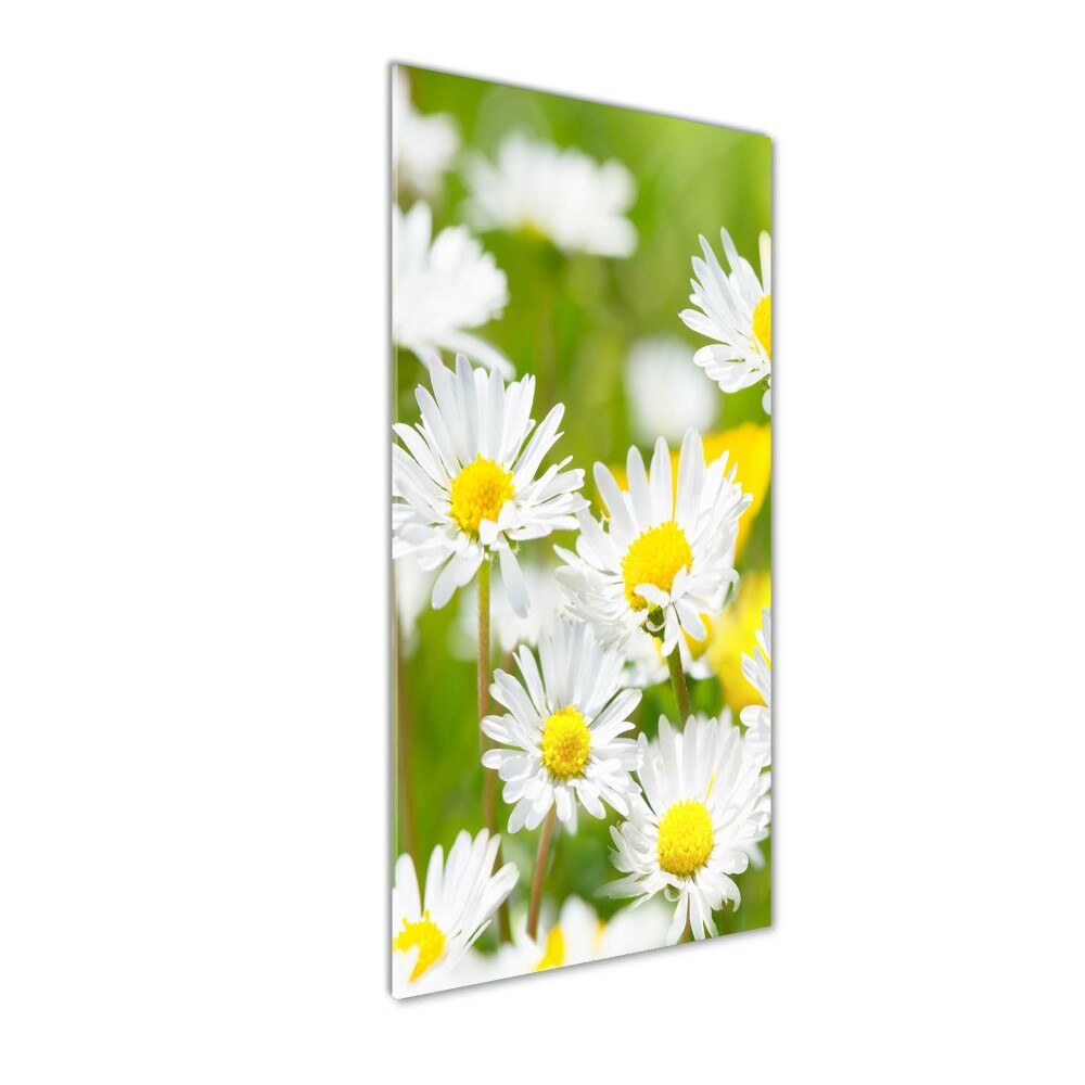 Acrylique tableau Marguerites