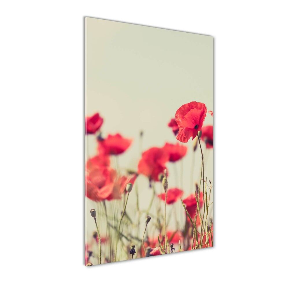 Tableau en acrylique Coquelicots rouges