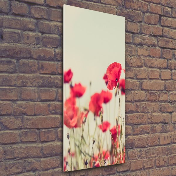 Tableau en acrylique Coquelicots rouges