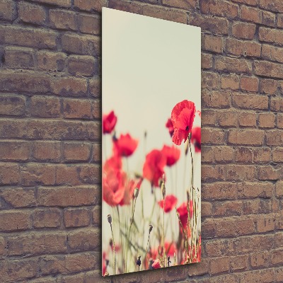 Tableau en acrylique Coquelicots rouges