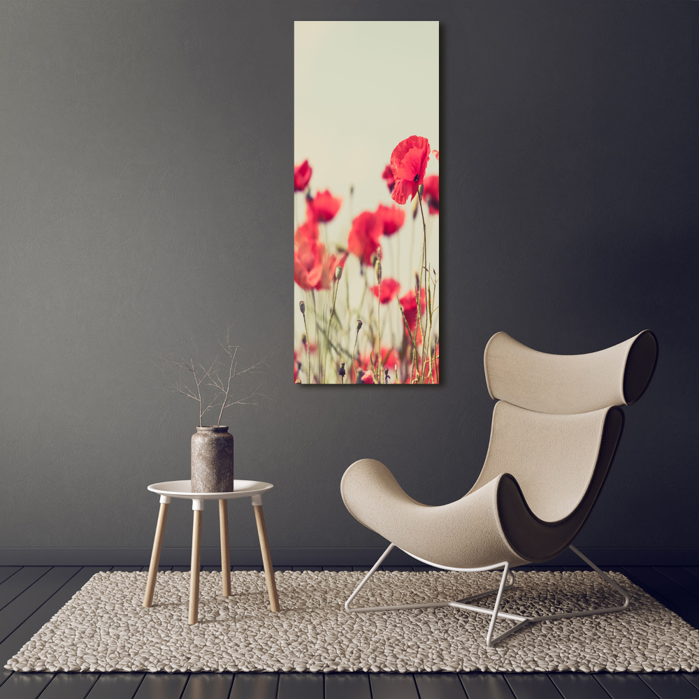 Tableau en acrylique Coquelicots rouges