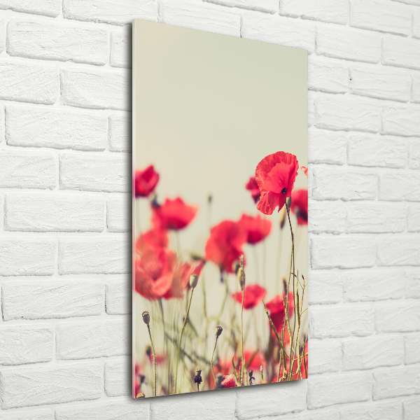 Tableau en acrylique Coquelicots rouges