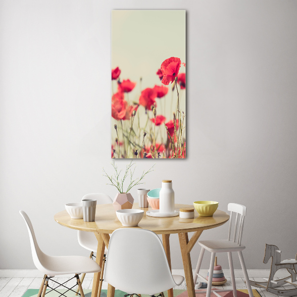 Tableau en acrylique Coquelicots rouges