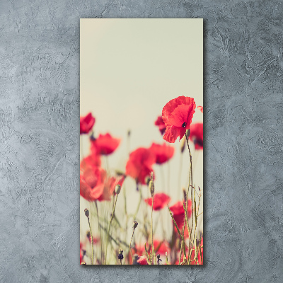 Tableau en acrylique Coquelicots rouges