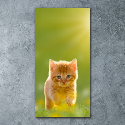 Tableau sur verre acrylique Chat rouge