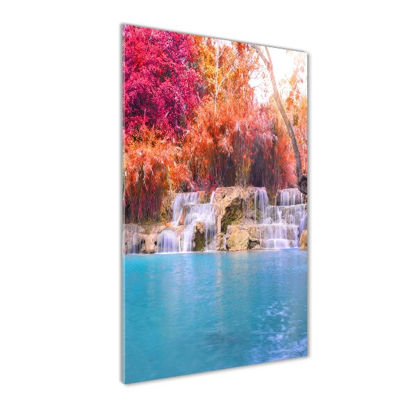 Chute d'eau dans la forêt