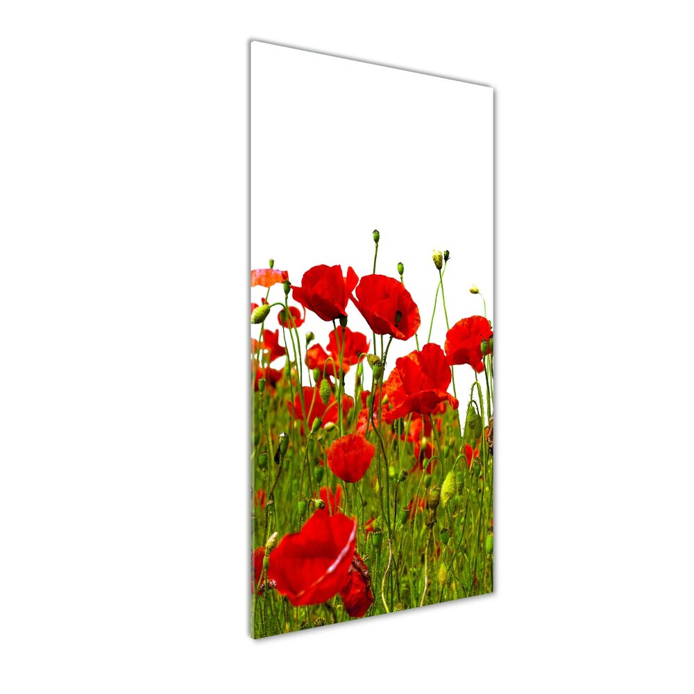 Tableau sur verre acrylique Champ de coquelicots