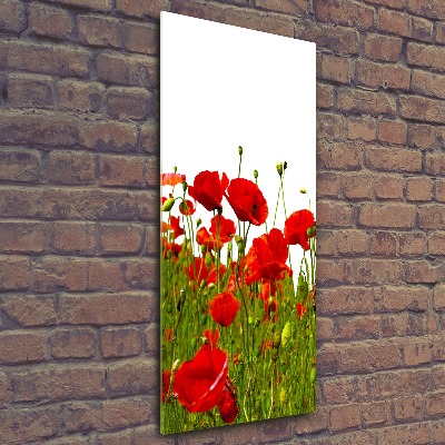 Tableau sur verre acrylique Champ de coquelicots