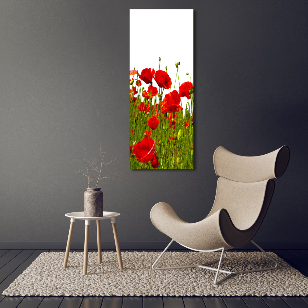 Tableau sur verre acrylique Champ de coquelicots