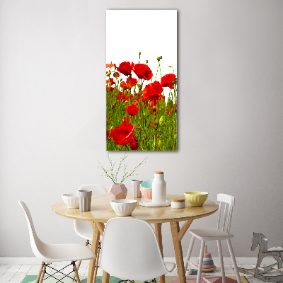 Tableau sur verre acrylique Champ de coquelicots