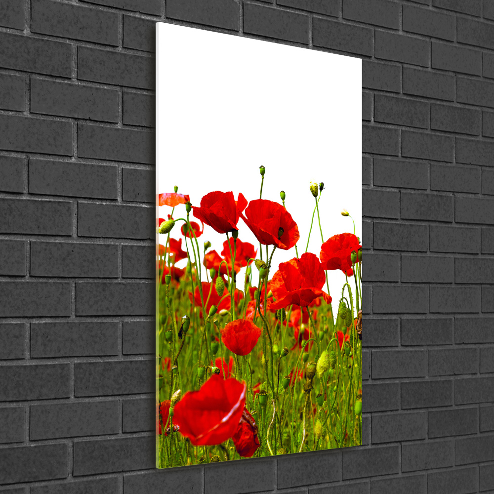 Tableau sur verre acrylique Champ de coquelicots