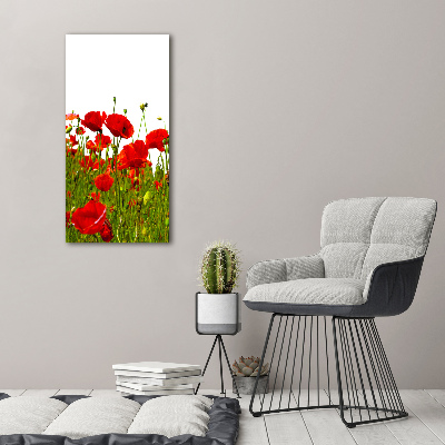 Tableau sur verre acrylique Champ de coquelicots