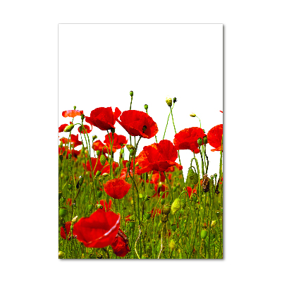 Tableau sur verre acrylique Champ de coquelicots