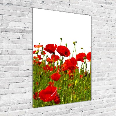 Tableau sur verre acrylique Champ de coquelicots