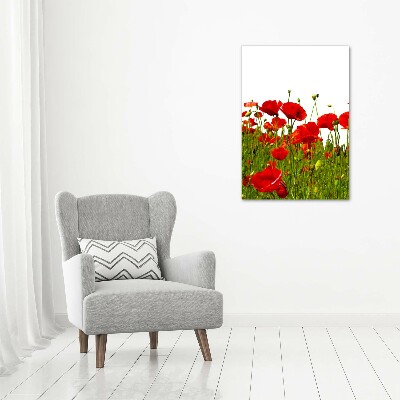 Tableau sur verre acrylique Champ de coquelicots