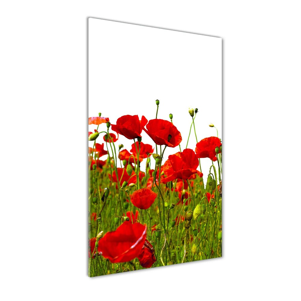 Tableau sur verre acrylique Champ de coquelicots