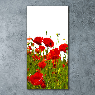 Tableau sur verre acrylique Champ de coquelicots