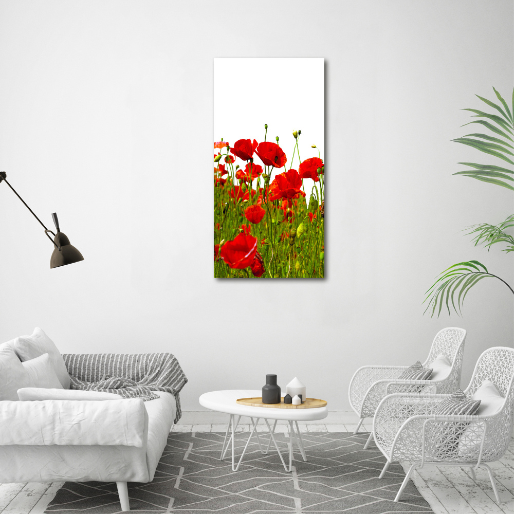 Tableau sur verre acrylique Champ de coquelicots