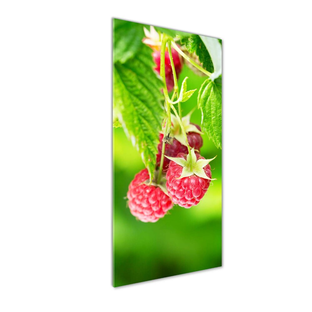 Tableau sur verre acrylique Framboises sur le buisson