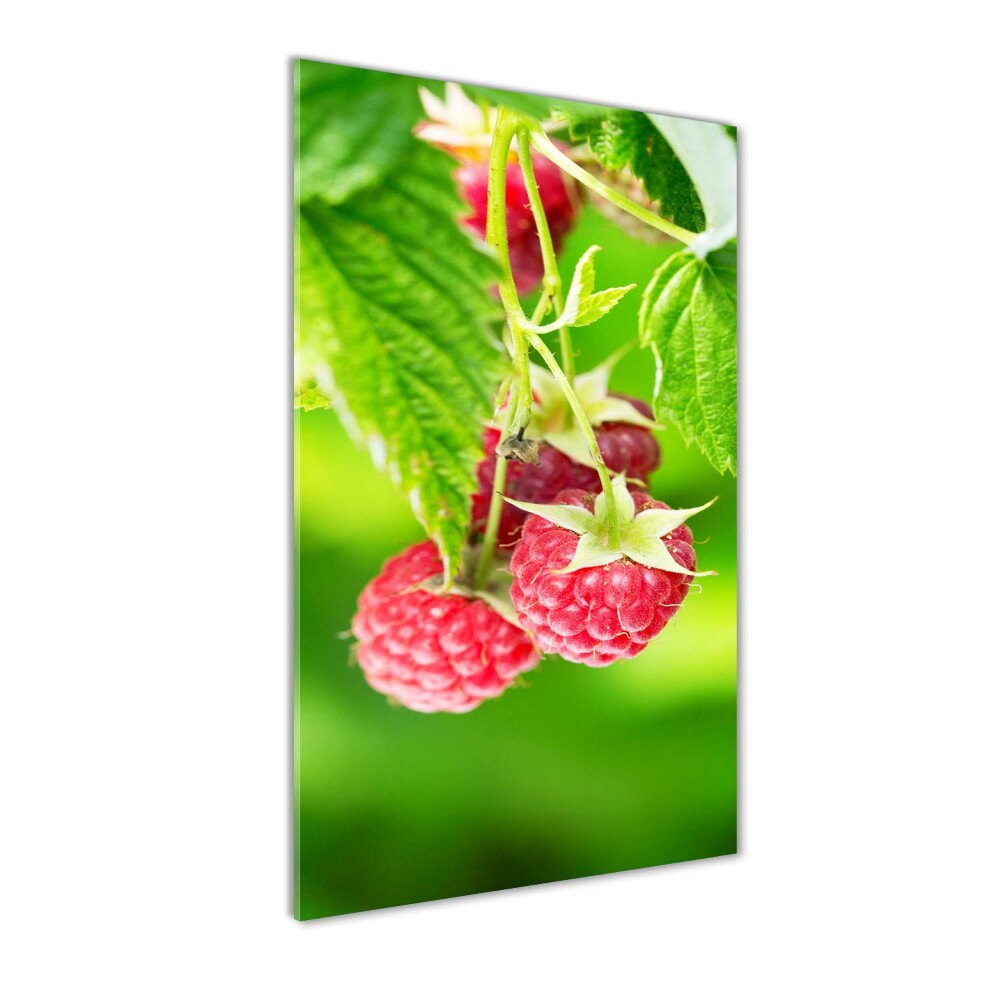 Tableau sur verre acrylique Framboises sur le buisson