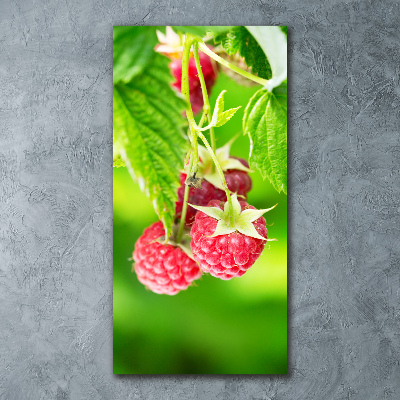 Tableau sur verre acrylique Framboises sur le buisson