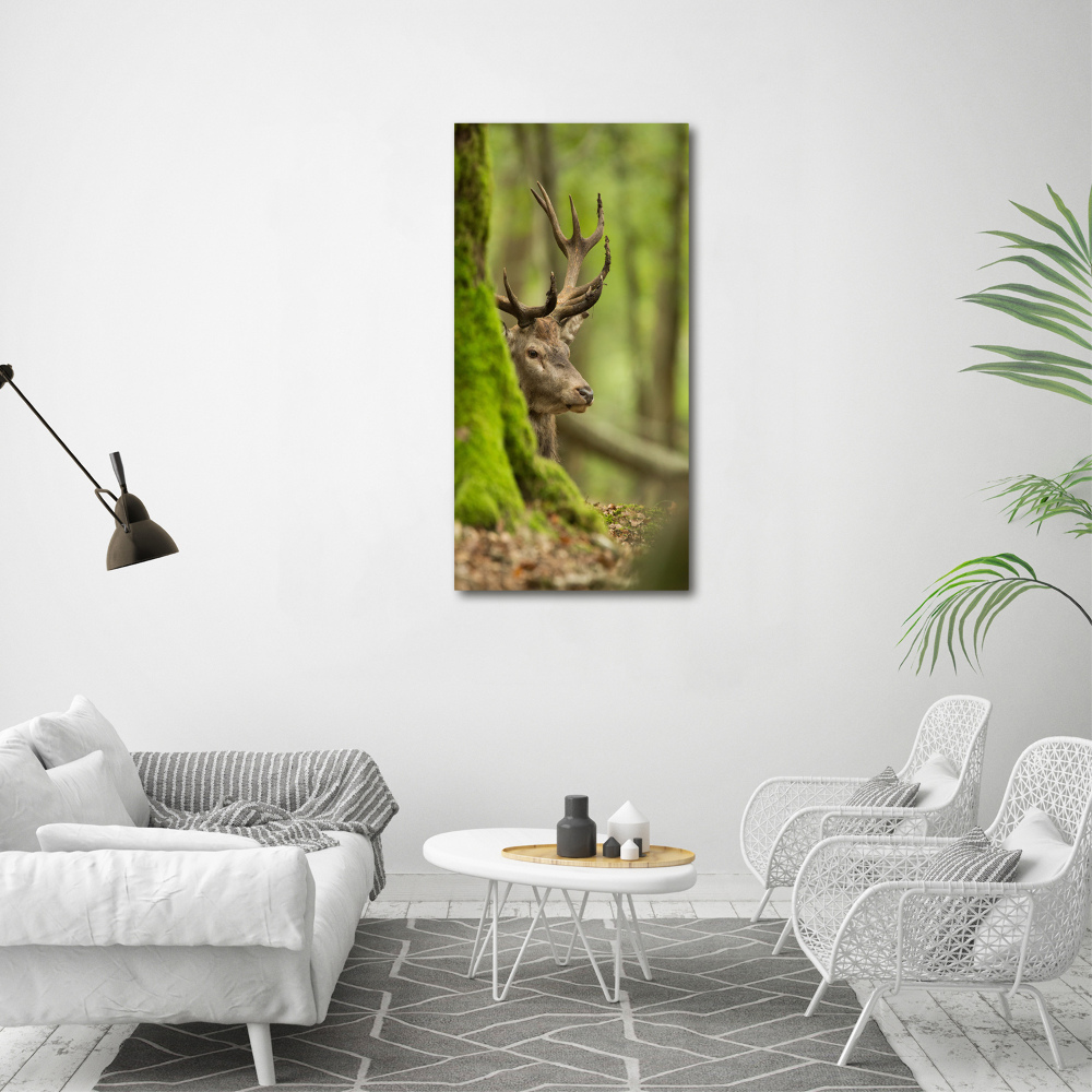 Tableau en acrylique Cerf