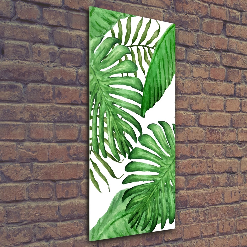 Tableau en acrylique Feuille de monstera fond foncé