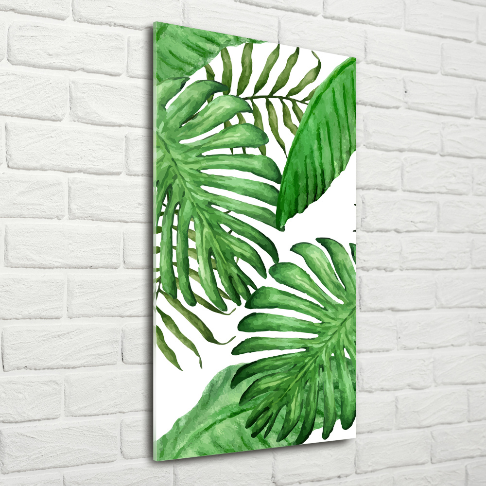 Tableau en acrylique Feuille de monstera fond foncé