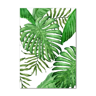 Tableau en acrylique Feuille de monstera fond foncé