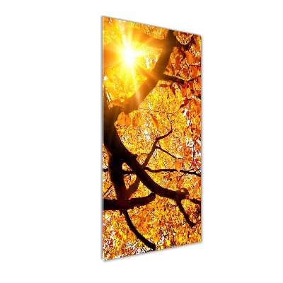 Tableau sur verre acrylique Arbre d'automne